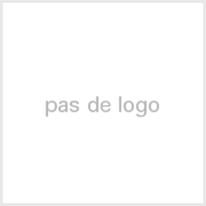 Pas de logo